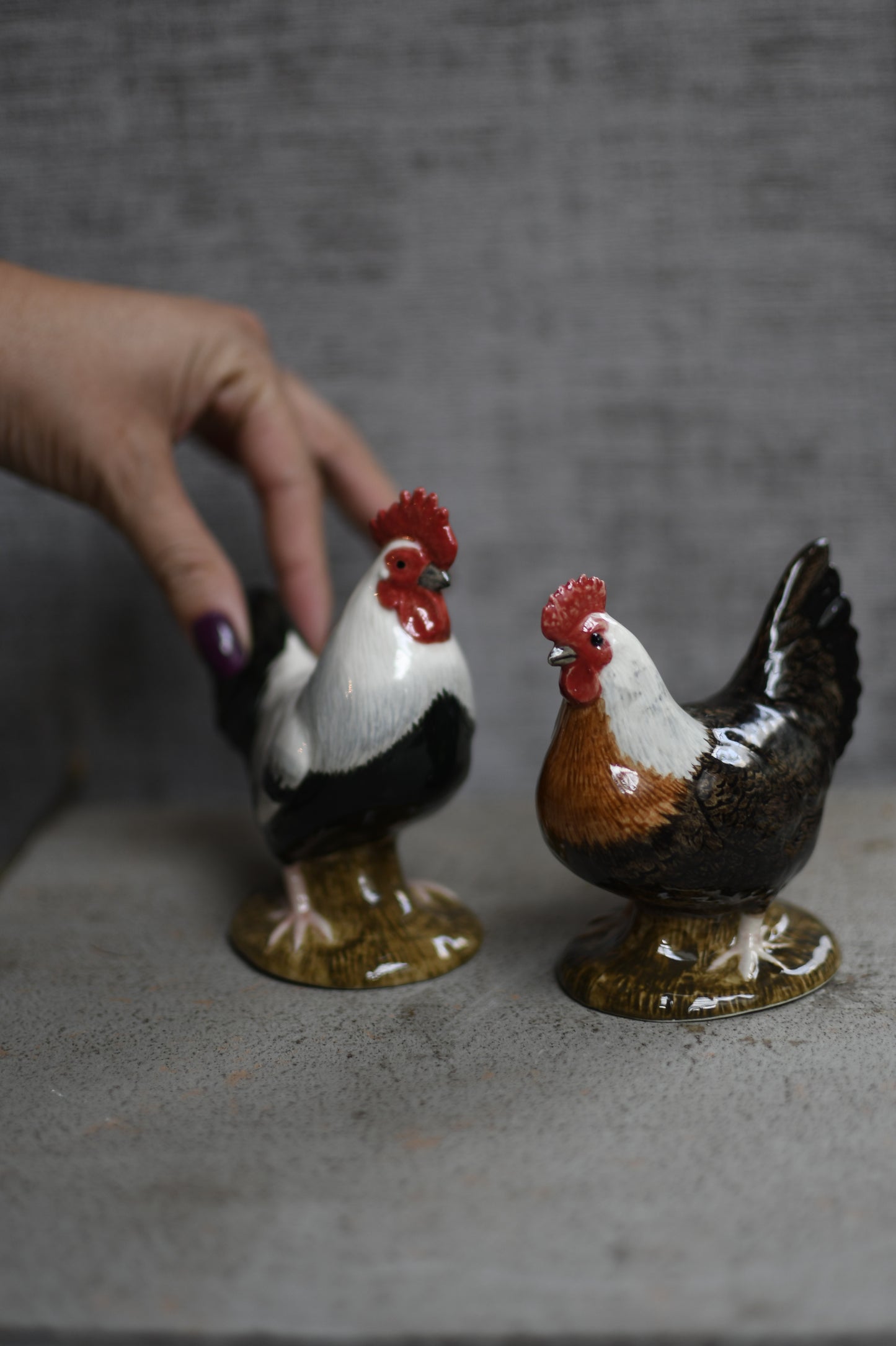 gallinas