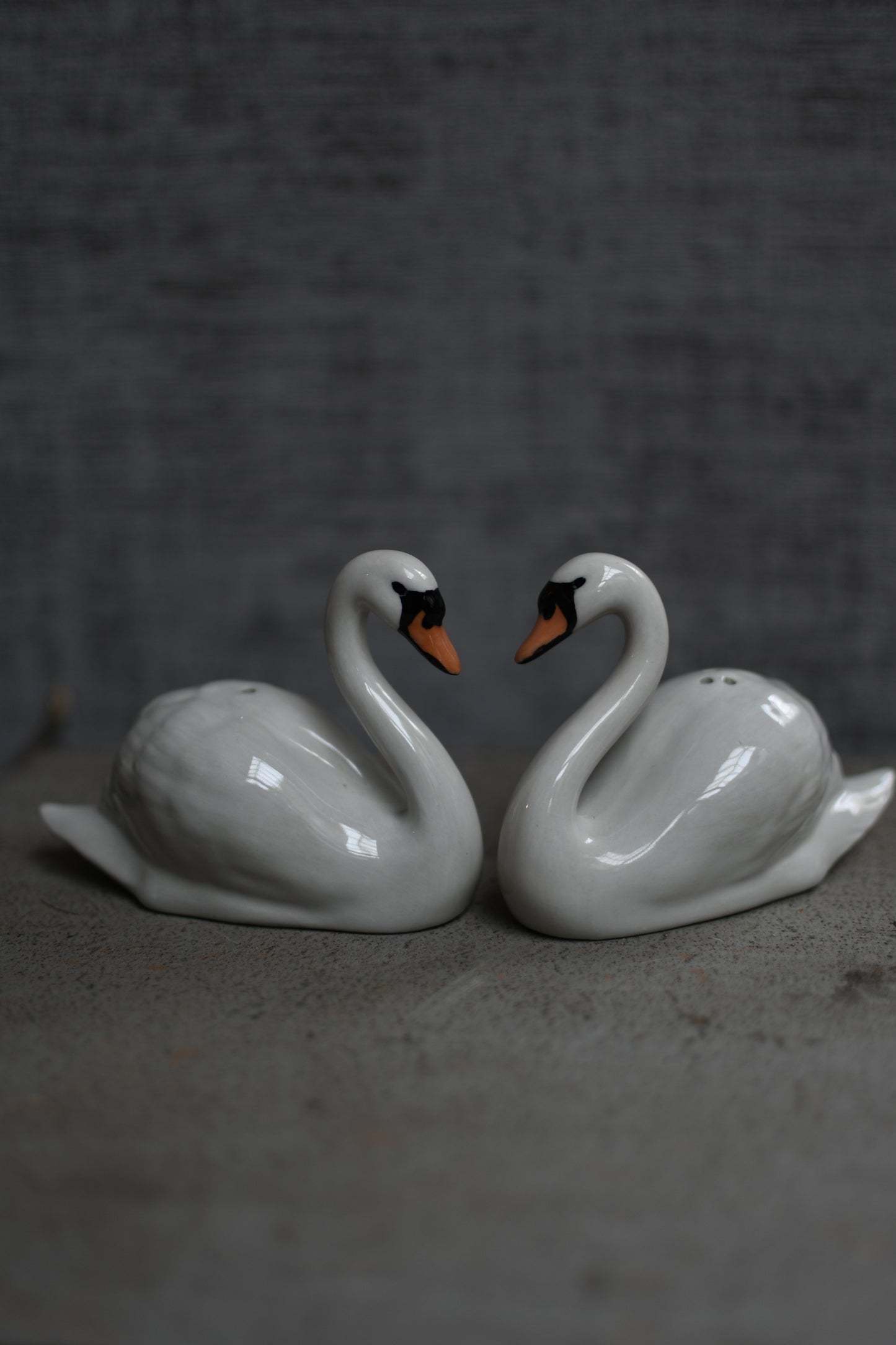 cisnes