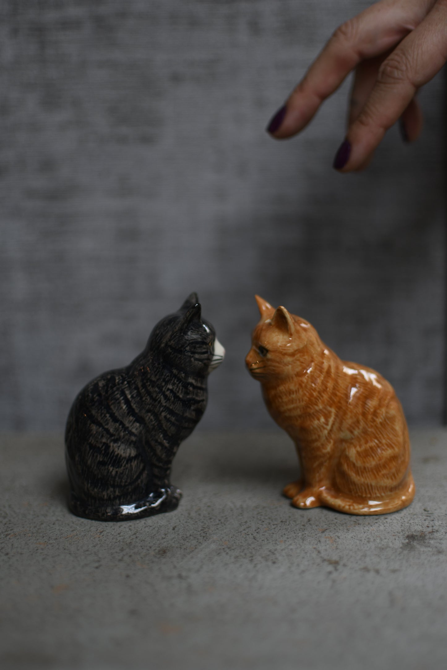 gatitos