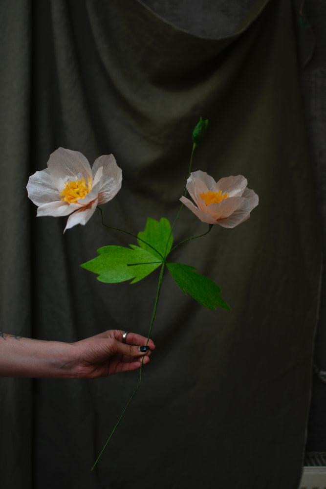 amapola de papel