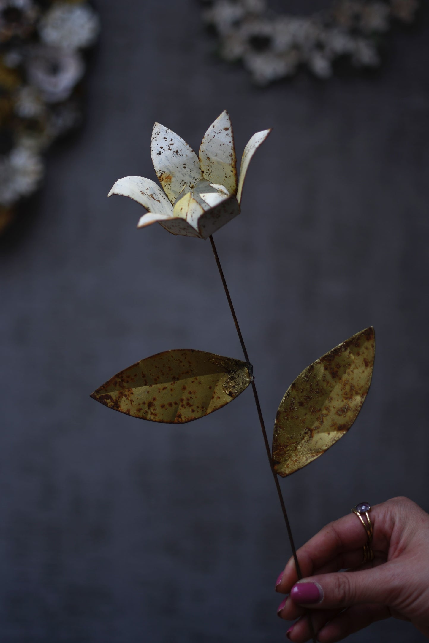 flor blanca