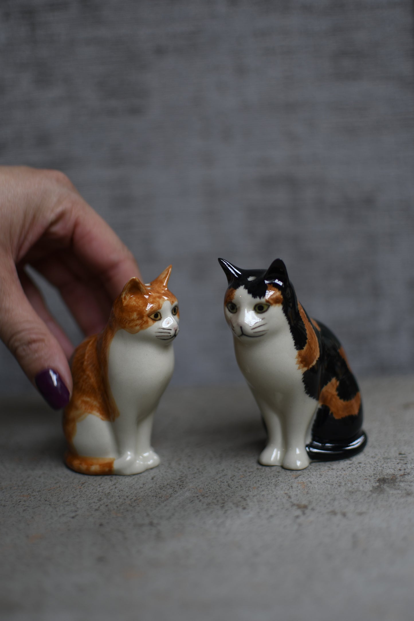 gatitos jaspeados