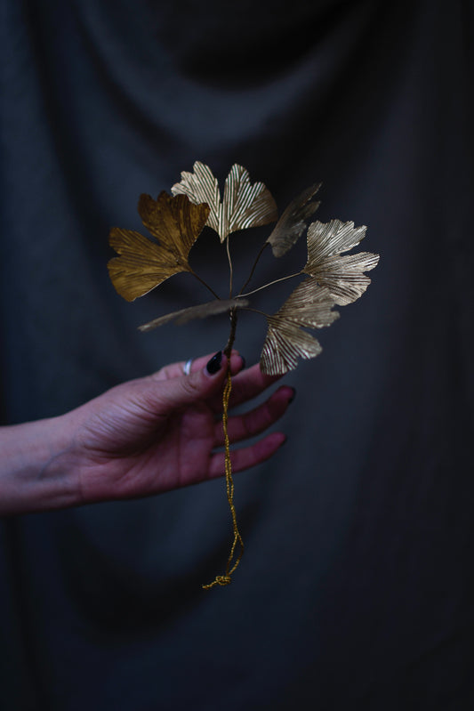 hoja de ginkgo doradas